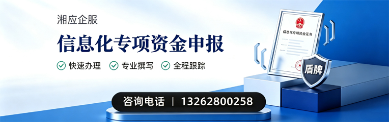 拉萨信息化专项资金申报服务
