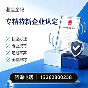 拉萨专精特新企业申报服务