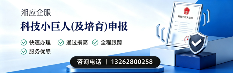 拉萨科技小巨人及培育企业申报服务