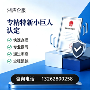 拉萨专精特新小巨人申报服务