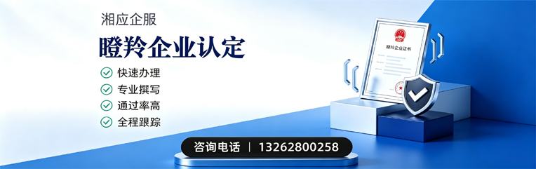 拉萨瞪羚企业认定申报服务