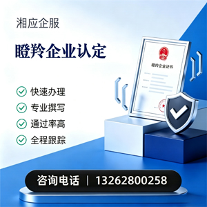 拉萨瞪羚企业认定申报服务