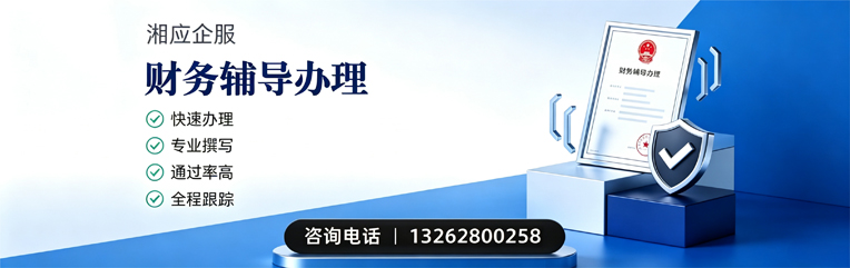 拉萨财务辅导申请服务