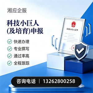 拉萨科技小巨人及培育企业申报服务