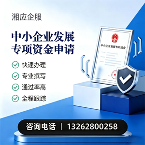 拉萨中小企业发展专项资金申报服务