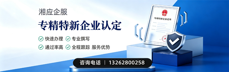 拉萨专精特新企业申报服务