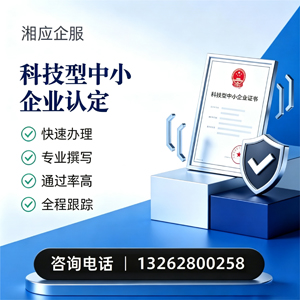 拉萨科技型中小企业认定申报服务