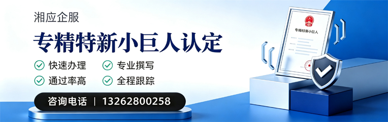 拉萨专精特新小巨人申报服务